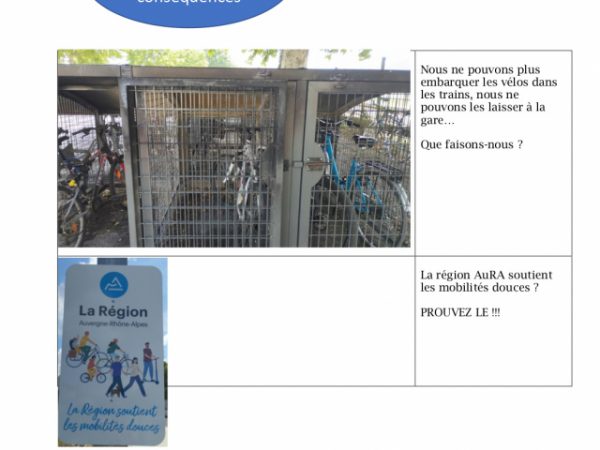 Témoignage d’une usagère régulière du vélo dans le train en Auvergne Rhône Alpes