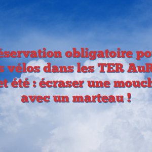 Réservation obligatoire pour les vélos dans les TER AuRA cet été : écraser une mouche avec un marteau !