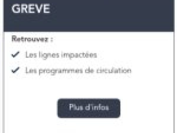 Trafic perturbé sur toutes les lignes TER au sud de Clermont Ferrand
