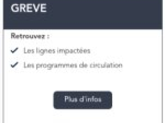 Trafic perturbé sur toutes les lignes TER au sud de Clermont Ferrand